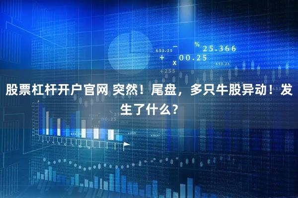 股票杠杆开户官网 突然！尾盘，多只牛股异动！发生了什么？