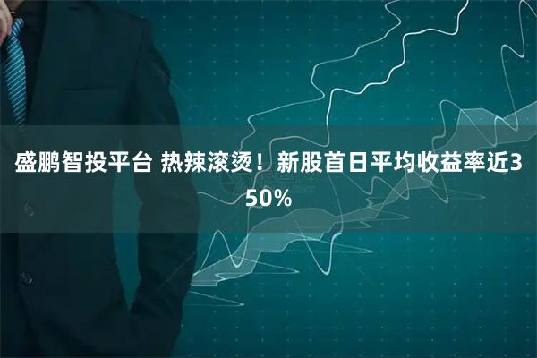 盛鹏智投平台 热辣滚烫!新股首日平均收益率近350%