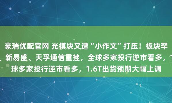 豪瑞优配官网 光模块又遭“小作文”打压!板块罕见暴跌7%,中际旭创、新易盛、天孚通信重挫,全球多家投行逆市看多,1.6T出货预期大幅上调